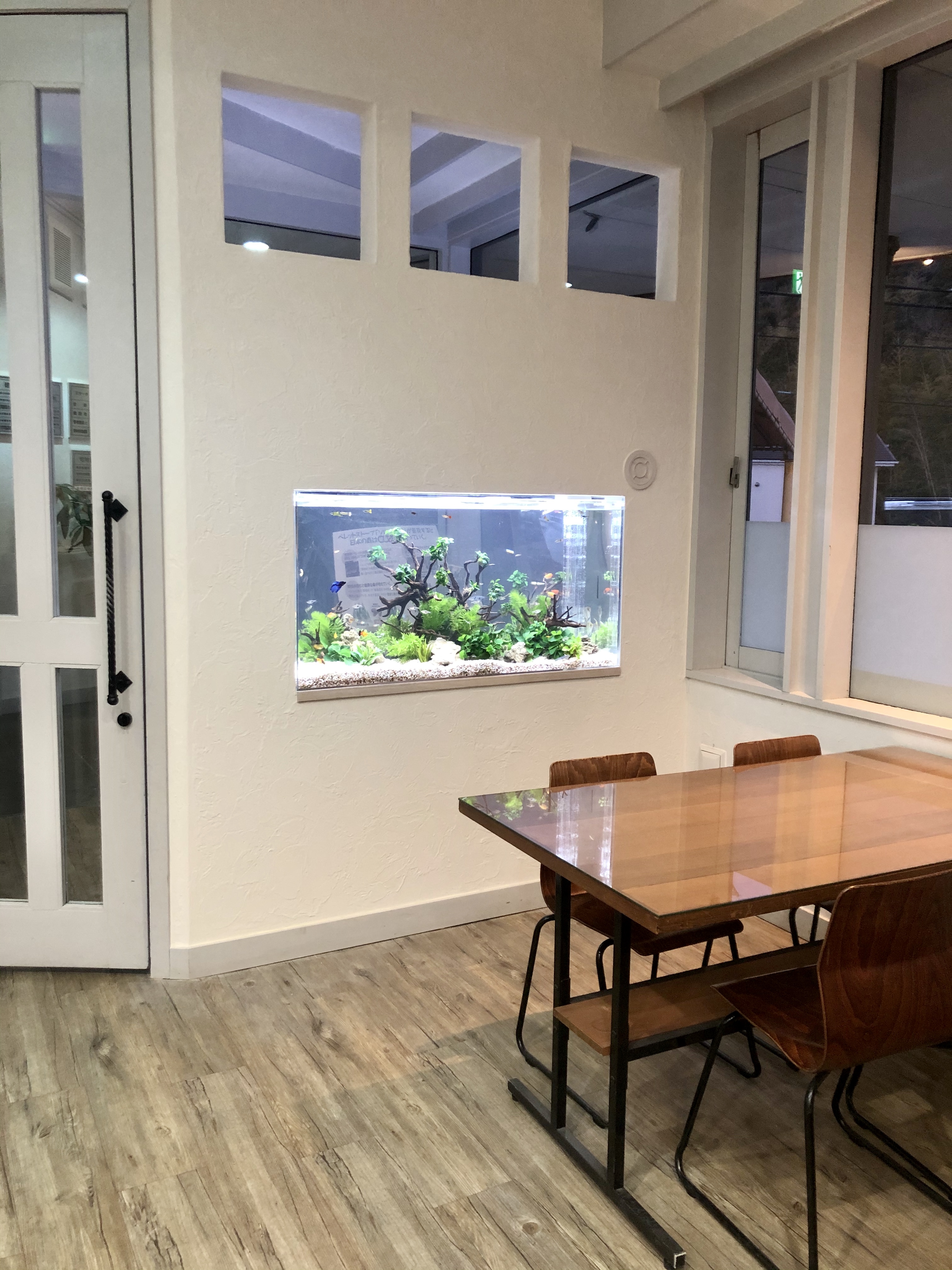 Seal act 合同会社&nbsp;
