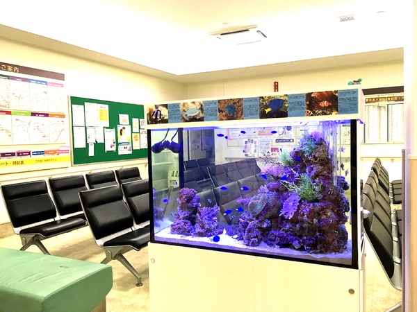 ストレス緩和の調査