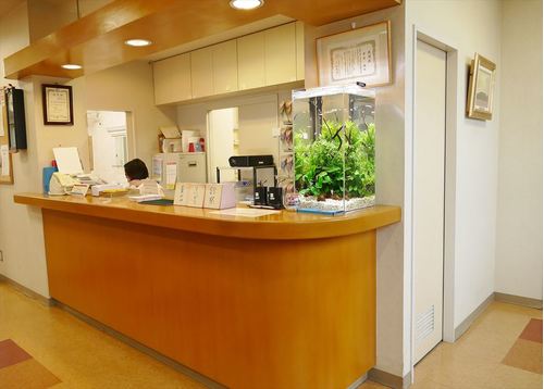神奈川県横浜市の病院受付カウンターに高さ60ｃｍ水槽 60cm水槽 横浜の水槽メンテナンス会社seal Act Llcの設置事例を紹介