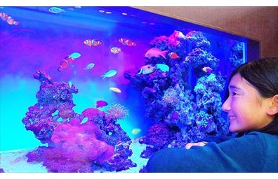 神奈川区　オフィス