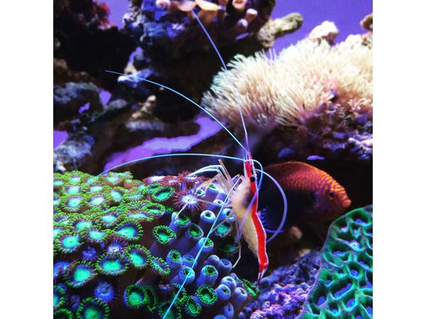 他社様との違い