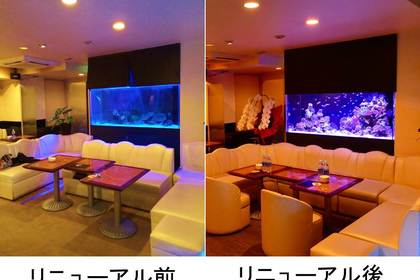 水槽リニューアル