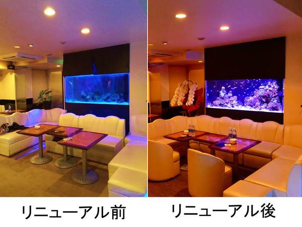 水槽リニューアル