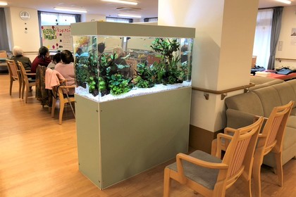 福祉施設に水槽を設置