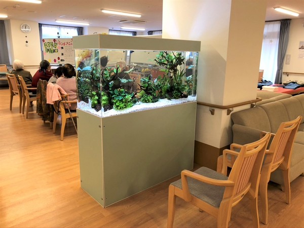 福祉施設に水槽を設置