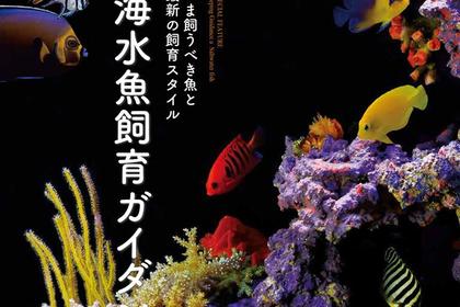 コーラルフリークスに掲載