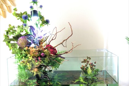 アクアテラリウム