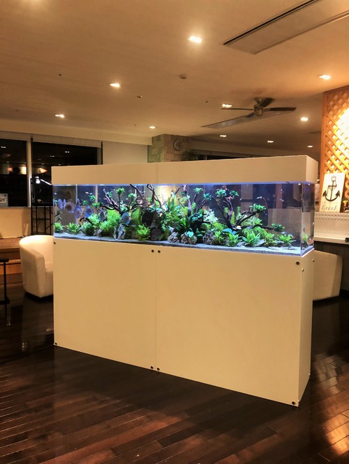 スパイアス水槽