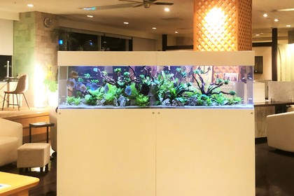 横浜駅スパイアスに水槽設置