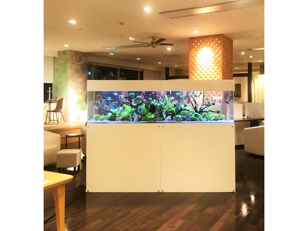 横浜駅スパイアスに水槽設置