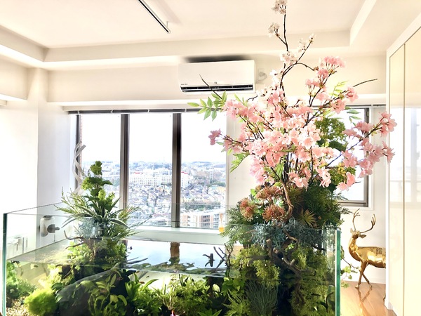 桜のアクアテラリウム