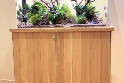 鎌倉にアクアリウム