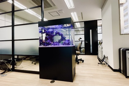 中区オフィスに水槽設置