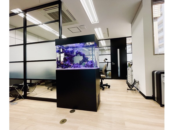 中区オフィスに水槽設置