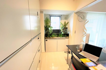 オフィスにテラリウム