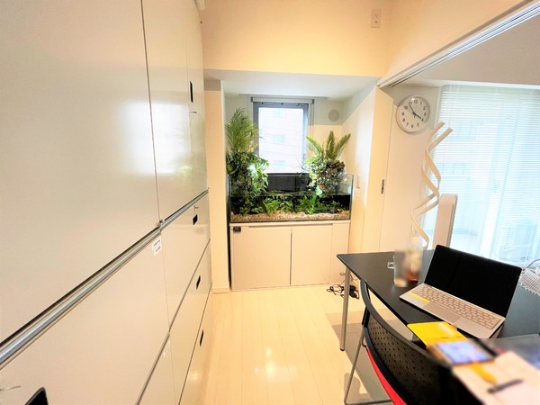 オフィスにテラリウム