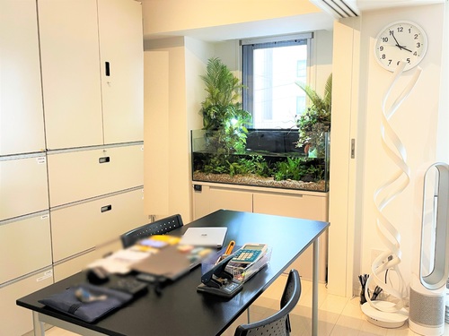 横浜市中区のオフィスにアクアテラリウムを設置しました