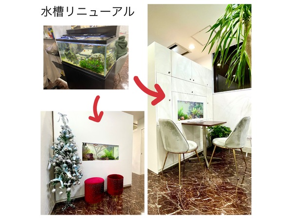 リニューアル