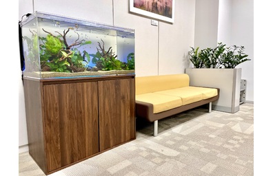 企業様に水槽設置