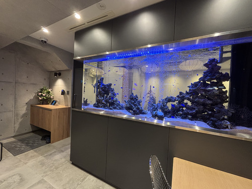 横浜市中区に大型水槽 | 横浜の水槽メンテナンス会社Seal act LLCの