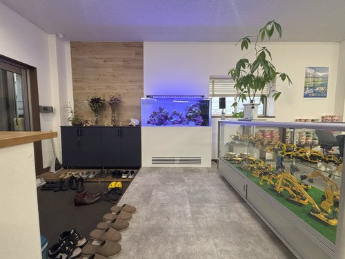 エントランスを彩る色鮮やかな海水魚と美しいサンゴ