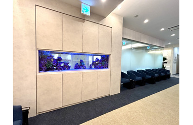 クリニック水槽導入