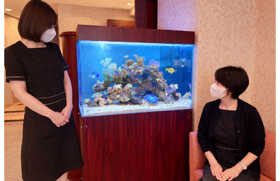 横浜市クリニック待合室に設置されたサンゴと海水魚のアクアリウム水槽