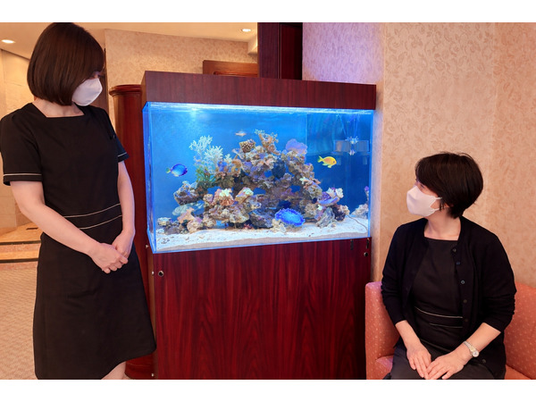 横浜市クリニック待合室に設置されたサンゴと海水魚のアクアリウム水槽
