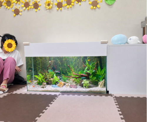 障害者施設へ設置した淡水魚・水草水槽。床置きレイアウトにより、横になって過ごす方や車椅子利用者も楽しめるオーダーメイドアクアリウム。