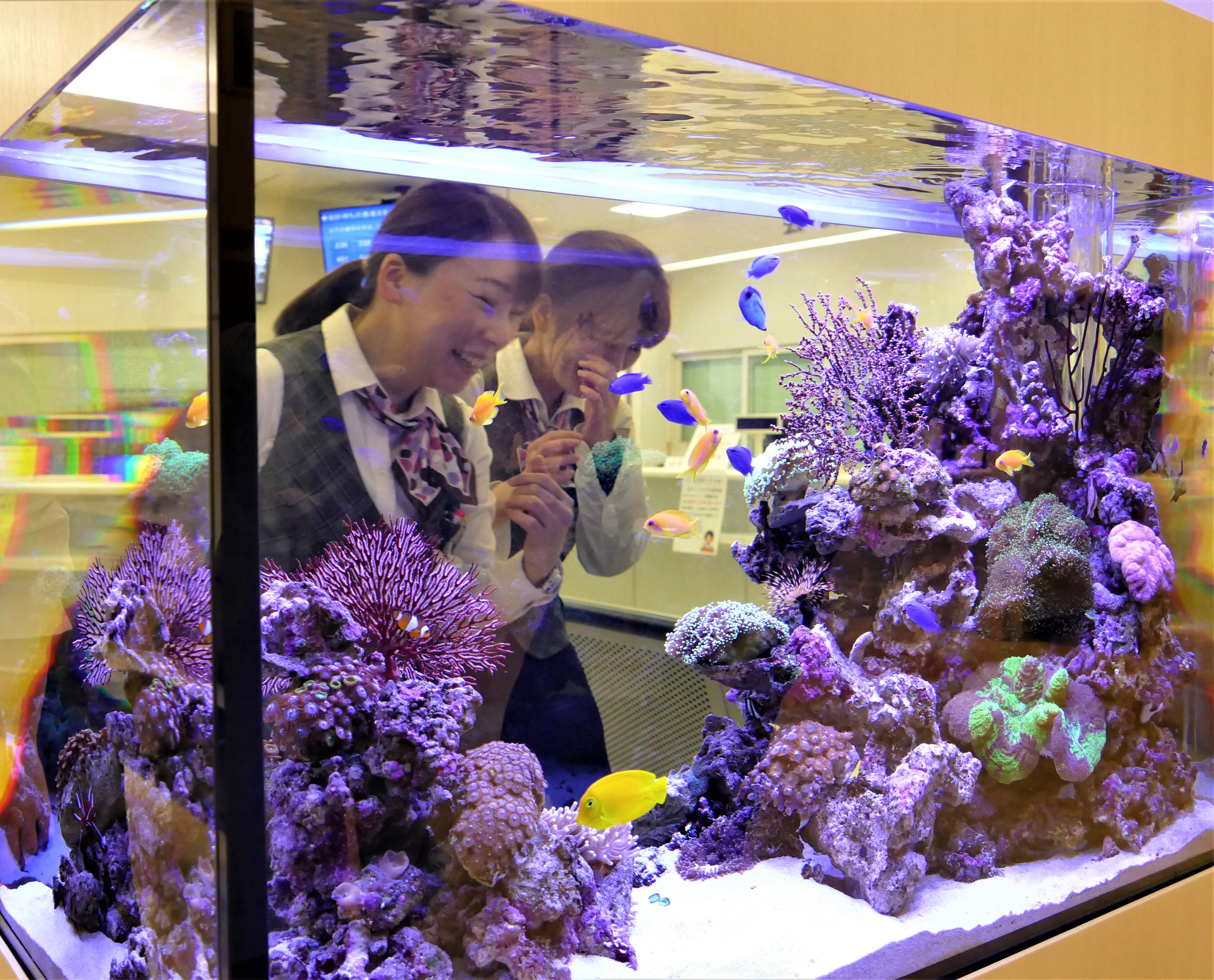 キューブ・タワー型水槽