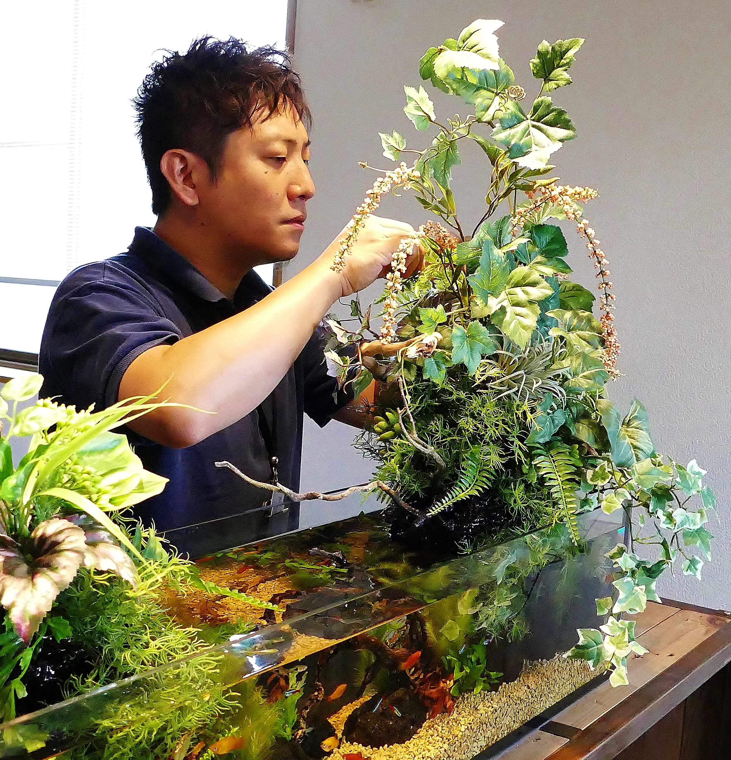 カクレクマノミ